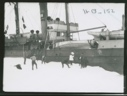 Image of Thetis watering off the floe